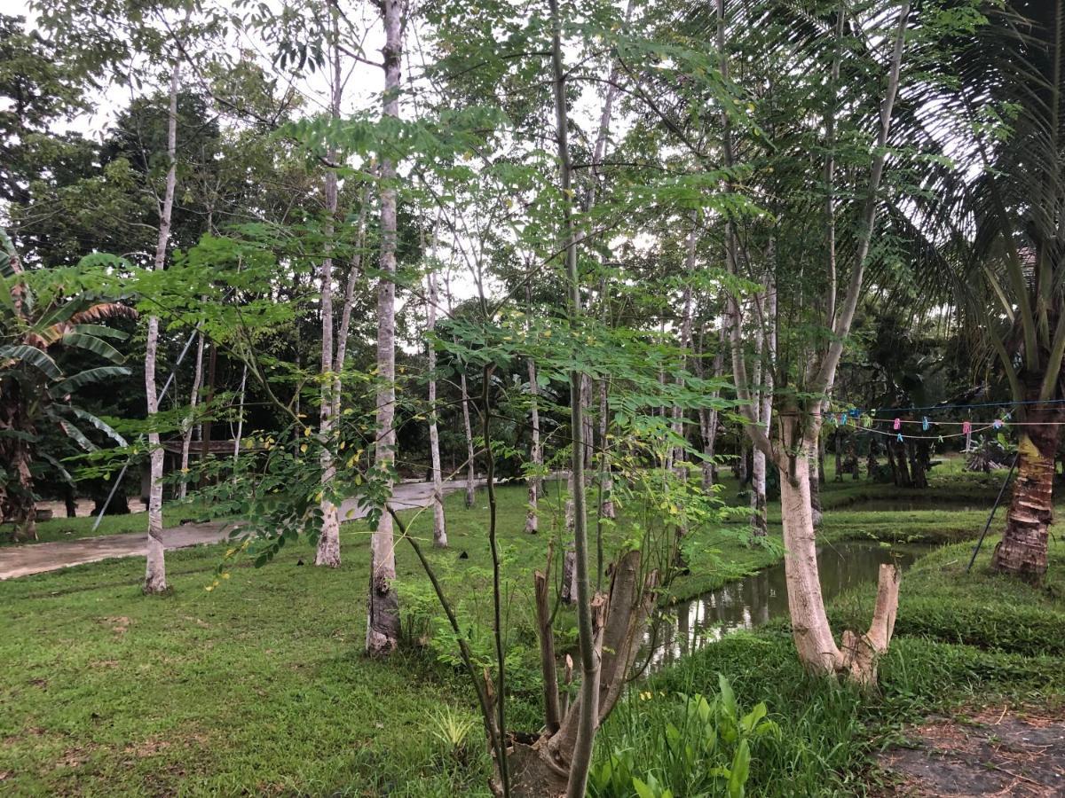 Grace Guesthouse Kota Belud エクステリア 写真